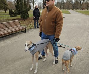 Chartoterapia dla WOŚP. Spacer charytatywny z pieskami po Parku Ludowym w Lublinie