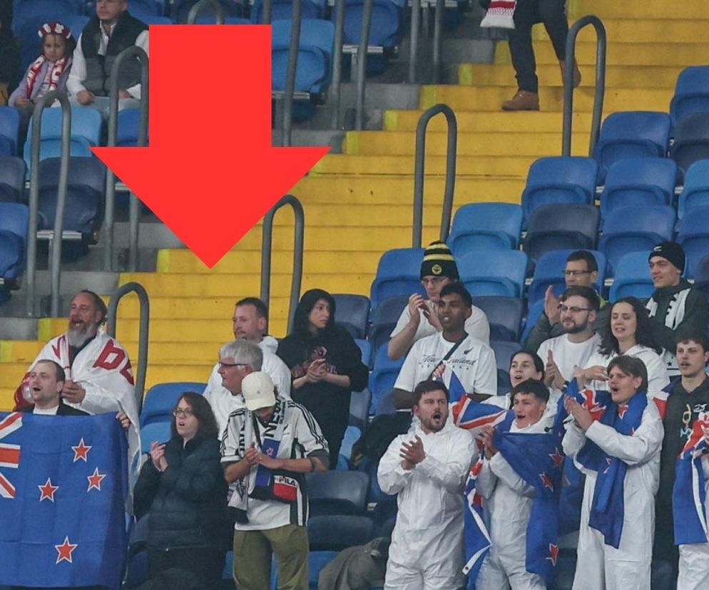 Trybuny podczas meczu Polska - Nowa Zelandia