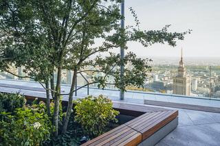 Najwyższy otwarty taras w Unii Europejskiej otworzy się w Warszawie! Spacer wśród drzew ponad 200 m nad ziemią