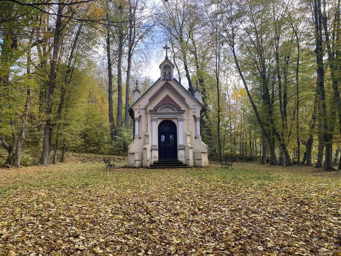 Zamek w Dąbrówce Starzeńskiej