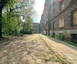 Zabytkowe famuły Izraela Poznańskiego w Łodzi 