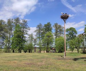 Europejska Wieś Bociania w Pentowie. Unikalne miejsce na Podlasiu