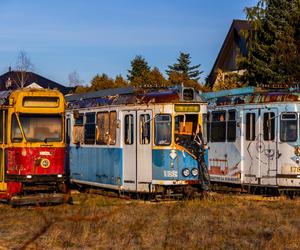 Zobacz kolekcję starych tramwajów w prywatnym ogrodzie - zdjęcia. Wagony stoją na działce w Warszawie