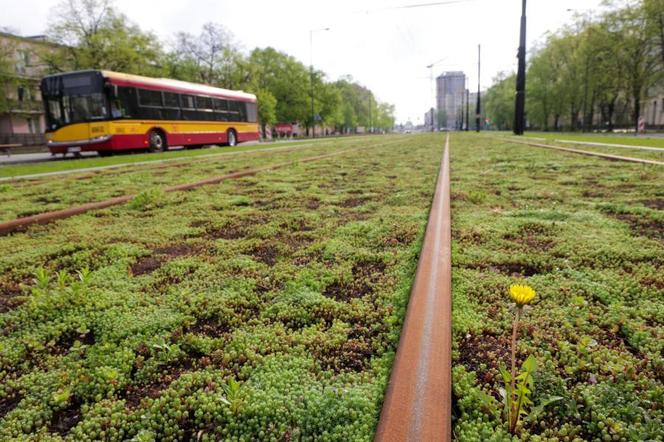 Tramwaj na Gagarina