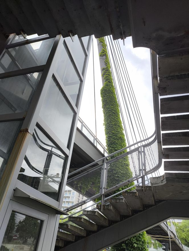 Kolejna kładka do likwidacji w Warszawie. W jej miejscu powstanie przejście naziemne