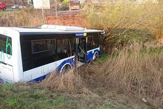 Kraków: Autobus zjechał z drogi i wpadł do rowu!