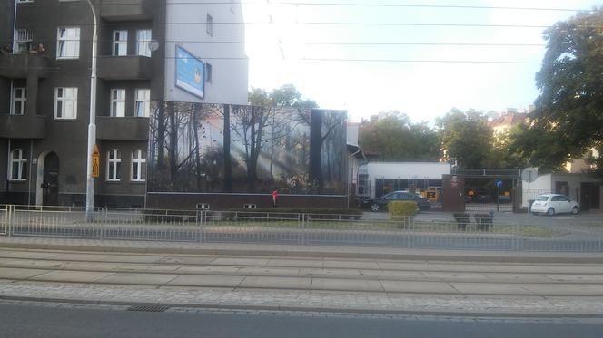 Leśny mural we Wrocławiu