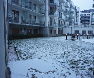 Śnieg spadł w Poznaniu