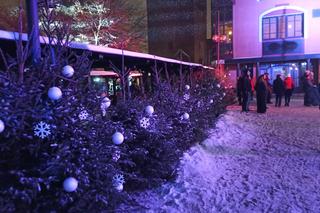 Tłumy mieszkańców na Starym Mieście w Olsztynie. Tak bawili się na wydarzeniu Święta. Dobrze was widzieć