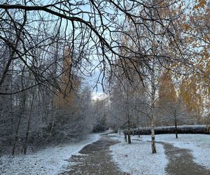 Poznań pokrył się białym puchem. Zimowe widoki w mieście. Czas na spacer! [ZDJĘCIA]