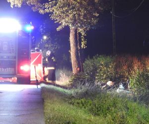 Roztrzaskał się mercedesem na drzewie. Nie miał żadnych szans