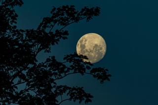Pełnia Księżyca we wrześniu 2023 wpłynie na nas wszystkich. To będzie wyjątkowy czas!