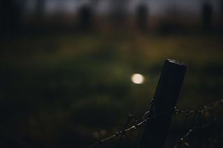 Śmierć kobiety w szambie pod Wołominem. Co robiło obok 7-letnie dziecko?