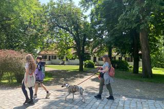 Odwiedź Pałac w Rogalinie i poznaj jego historię