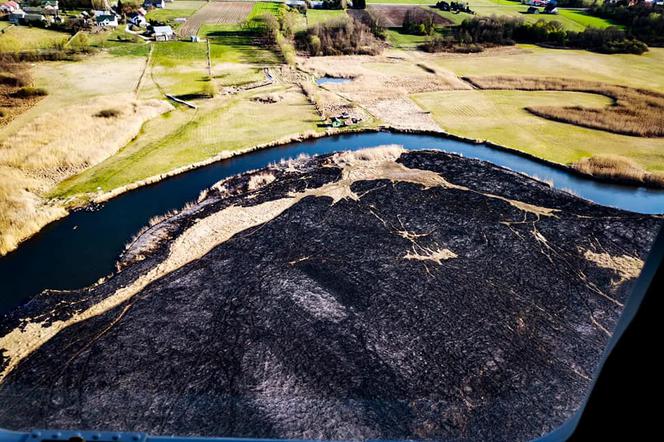 Biebrzański Park Narodowy: Tak płonie natura. Wstrząsające zdjęcia