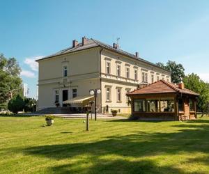 Zabytkowy pałac z wielkim parkiem pod Wrocławiem na sprzedaż. Cena robi wrażenie