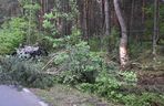 Na drodze powiatowej pomiędzy miejscowościami Zabiele i Wólka Różańska samochód osobowy uderzył w łosia. Wypadek zakończył się śmiercią kierowcy i pasażerki auta. 