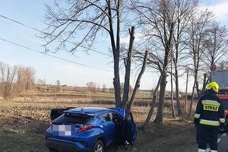 Noworoczny horror pod Garwolinem. 55-latek roztrzaskał hybrydę na drzewie