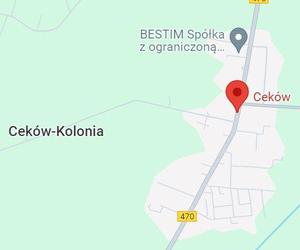 10. Ceków-Kolonia