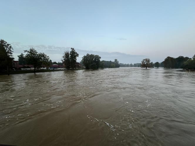 Powódź w Nysie. Wał przy Wyspiańskiego uszczelniony