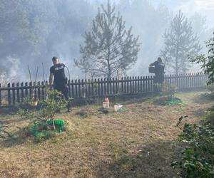 Pożar we wsi Budy. Policjant zauważył dym i ruszył na pomoc