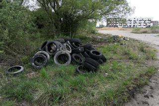 Szczecin: Ktoś urządził sobie dzikie wysypisko śmieci. Na sprzątanie zrzucimy się wszyscy [ZDJĘCIA]