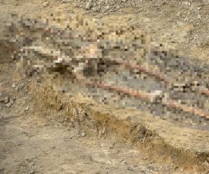 Na budowie trasy tramwajowej wykopali ludzki szkielet. Czyje szczątki odnaleziono?