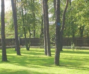 Wycięcie drzewa: wniosek o zezwolenie na wycinkę drzew