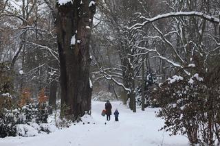 Czy w Lublinie spadnie śnieg na Boże Narodzenie? [PROGNOZY]