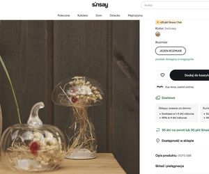 Jesień w Sinsay 2025