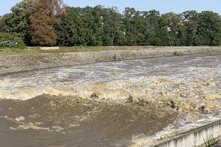Jaz Szczytnicki we Wrocławiu coraz bardziej wypełniony. Do Wrocławia zbliża się fala ZDJĘCIA