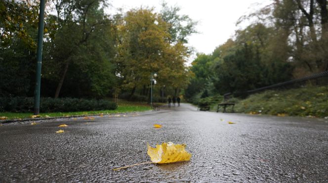 Ogród Saski w Lublinie w jesiennej odsłonie