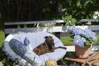 Wyjątkowy mazurski dom Moniki i Dagmary – Rona testuje meble ogrodowe