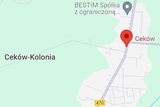 10. Ceków-Kolonia