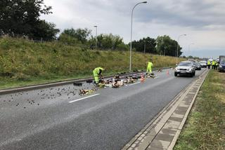 Warzywniak na Wale Miedzeszyńskim