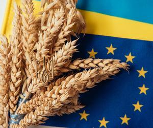 UE przywróci cła na ukraińską żywność. Podano rodzaje produktów