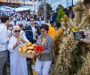 Dożynki Województwa Zachodniopomorskiego 2023 w Przelewicach