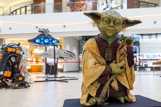 Gwiezdna Flota w Magnolia Park