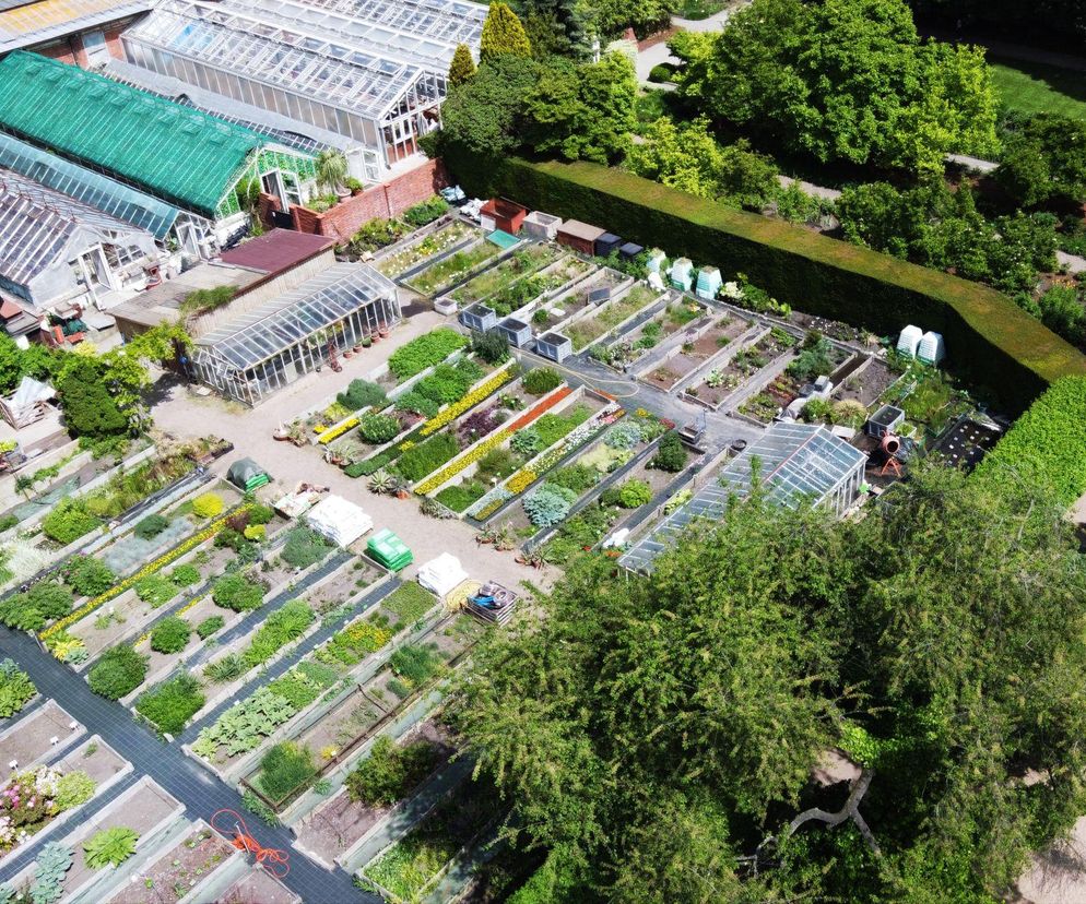 Najpiękniejsze ogrody botaniczne w Polsce. Idealne na majówkowy spacer i chwilę relaksu