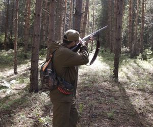 Horror na polowaniu! Myśliwy strzelał do zwierząt, człowiekowi amputowali nogę