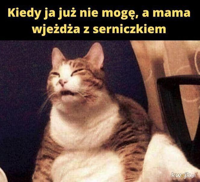 Świąteczne memy 2023