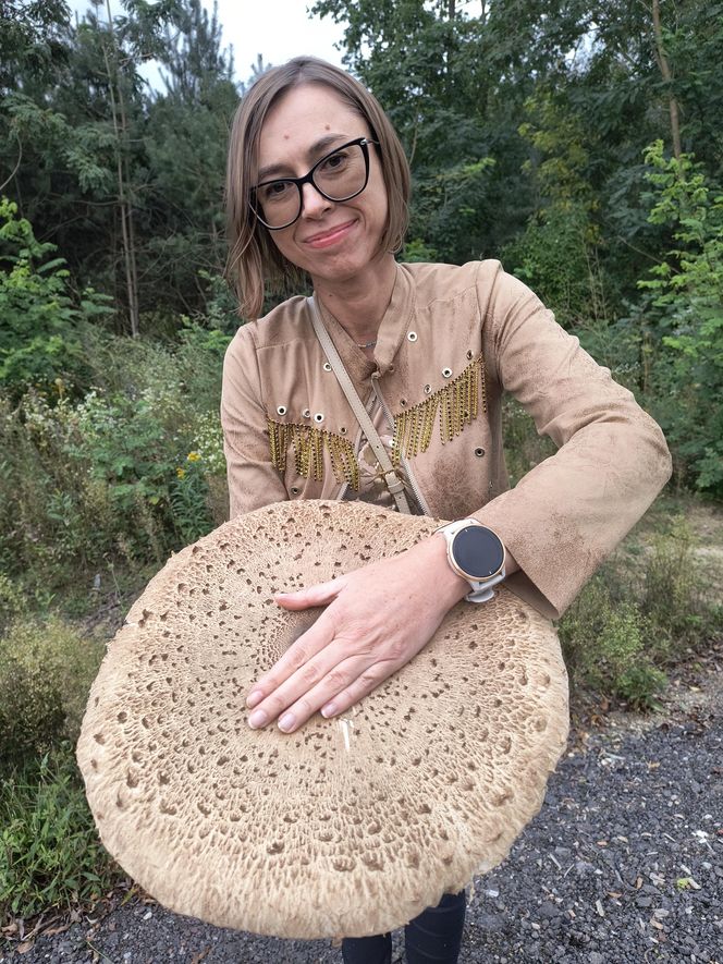 Kania wielkości parasolki