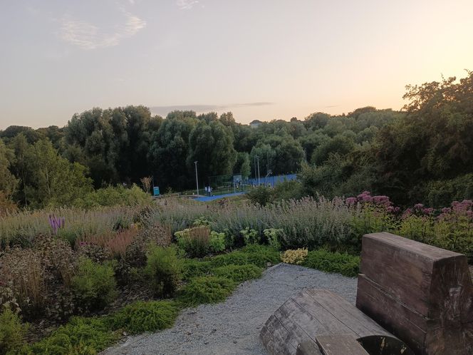 Tu powstanie Park Południowy