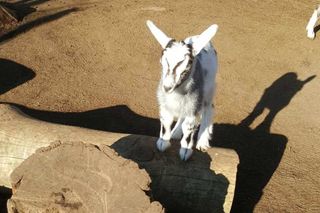 Malec przyszedł na świat 13 marca