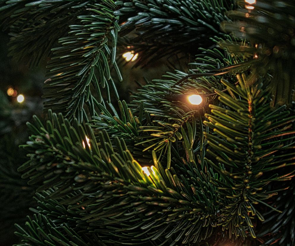 Zdjęcie ilustracyjne