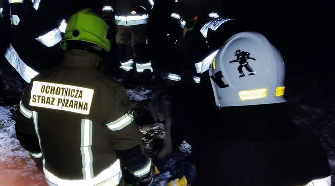 Maleństwo zaklinowało się w bobrzej norze. Wcześniej ktoś wyrzucił szczeniaki w szczerym polu