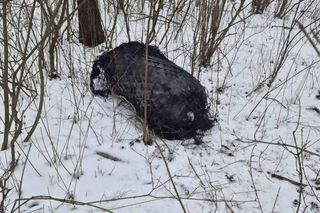 Szczątki rakiety Falcon 9 pod Poznaniem! Znaleziono kolejny zbiornik 