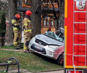 Drzewo przewróciło się na jadący samochód w Zakopanem