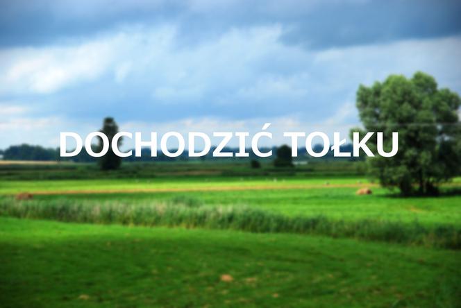 Dochodzić tołku