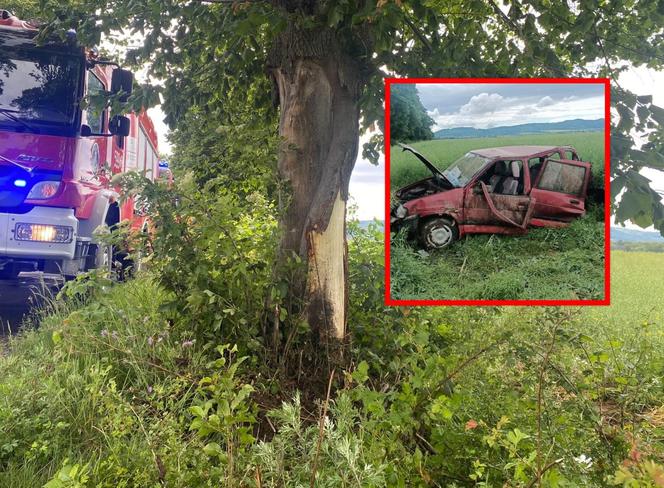  Tico wypadło z drogi i roztrzaskało się na drzewie. 55-latek zginął na miejscu 